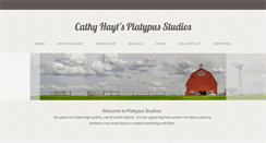 Desktop Screenshot of hayt.net